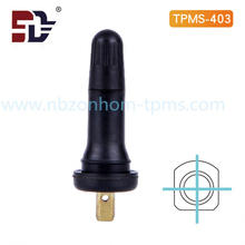 TPMS car valve rubber stem